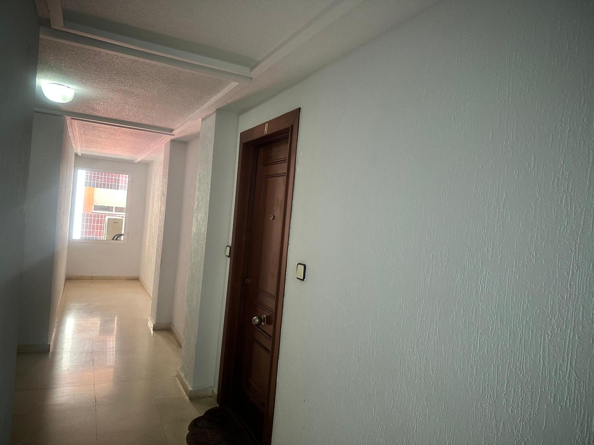 Homely Apartments Habaneras Torrevieja Exteriér fotografie